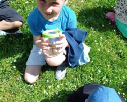 Výroba květinových obrázků