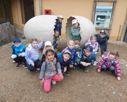 Mávštěva zoo v Plzni