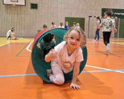 Cvičení se Sokolem