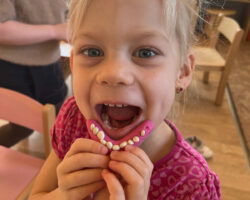 Jak vypadá a funguje lidské tělo