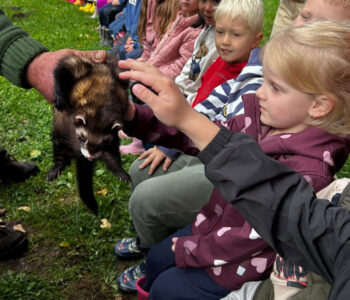 Sokolnická ukázka na naší školní zahradě
